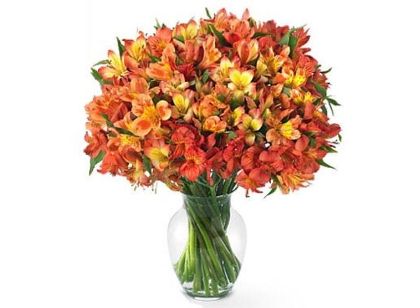 Flores: Buquês: Buquê de astromélia (opção de cores variadas) |  Floricultura Muriel - (11) 4666-3069