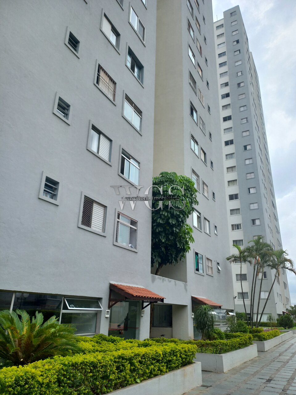 Apartamento para alugar com 2 quartos, 52m² - Foto 4