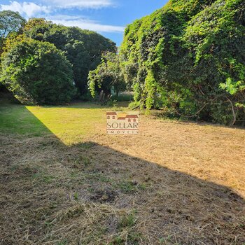 TERRENO - MARIO PINOTTI