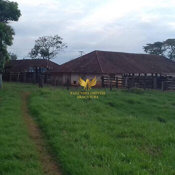 FAZENDA 213 ALQUEIRES  INOCENCIA MS