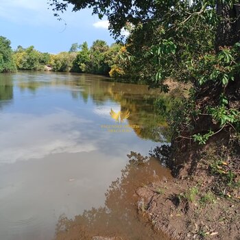 FAZENDA 308 ALQUEIRES ITAJA GO 