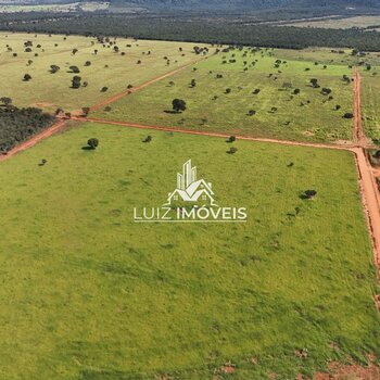 Vendo Fazenda 530hectares João Pinheiro MG 