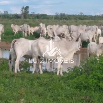 Vendo Fazenda 5400hectares BURITIZEIRO MG